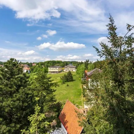 Zlatiborski Sjaj Apartamento *